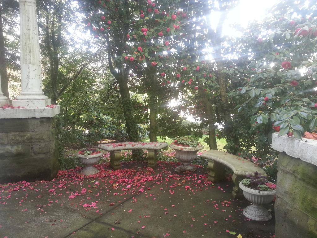 Evermore Guesthouse Portland Kültér fotó
